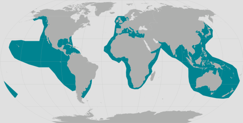 living locations for false killer whales